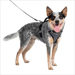 PetSafe EasySport Nylon Reflective Dog Harness, Charcoal, Medium: 26 to 32-in chest slide 1 of 6