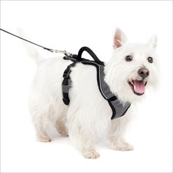 PetSafe EasySport Nylon Reflective Dog Harness, Charcoal, Small: 21 to 27-in chest