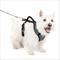 Show in main carousel: PetSafe EasySport Nylon Reflective Dog Harness, Charcoal, Small: 21 to 27-in chest slide 1 of 9