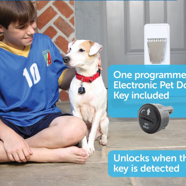 Show full view: PetSafe Electronic Pet Door, Large slide 2 of 9