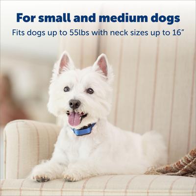 Show full view: PetSafe Elite Little Dog Waterproof Spray Dog Bark Collar, 16-in slide 4 of 8