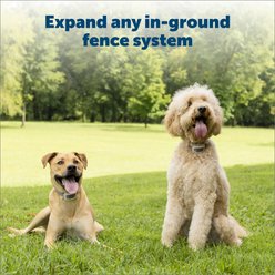 PetSafe Extra Wire & Flag Kit slide 2 of 6