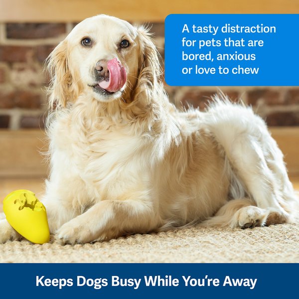 Show full view: PetSafe Frosty Cone Chew Dog Toy, Medium/Large  slide 3 of 10