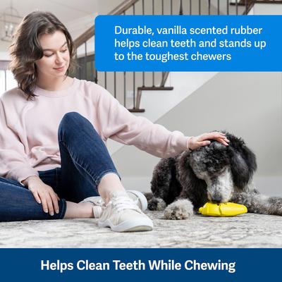 Show full view: PetSafe Frosty Cone Chew Dog Toy, Medium/Large  slide 5 of 11