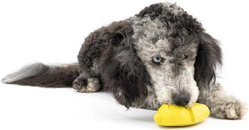 Show full view: PetSafe Frosty Cone Chew Dog Toy, Medium/Large  slide 8 of 11