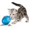 Show in main carousel: PetSafe Funkitty Egg-Cersizer Treat Dispenser Cat Toy slide 3 of 9