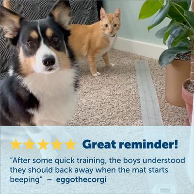 Show full view: PetSafe Generation 2 ScatMat Electronic Dog & Cat Training Mat, Medium slide 4 of 10