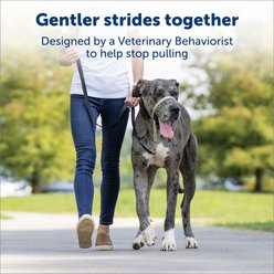 PetSafe Gentle Leader Padded No Pull Dog Headcollar, Black, Medium: 9 to 19-in neck slide 2 of 8