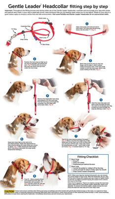 Show full view: PetSafe Gentle Leader Padded No Pull Dog Headcollar, Royal Blue, Large: 11 to 24-in neck slide 8 of 12