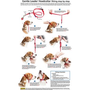 PetSafe Gentle Leader Padded No Pull Dog Headcollar, Royal Blue, Medium: 9 to 19-in neck