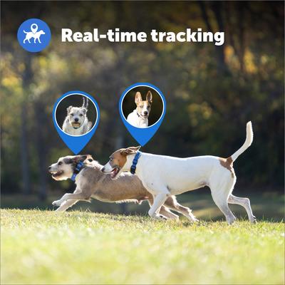 Show full view: PetSafe Guardian GPS + Tracking Wireless Fence Dog Collar, Grey/Blue slide 6 of 10