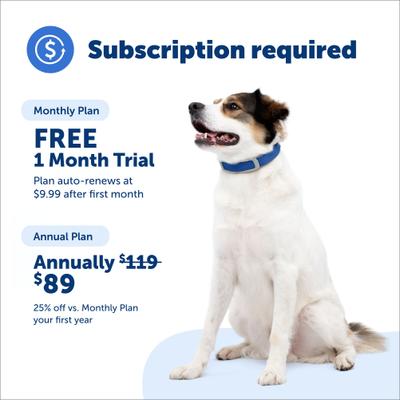 Show full view: PetSafe Guardian GPS + Tracking Wireless Fence Dog Collar, Grey/Blue slide 5 of 10