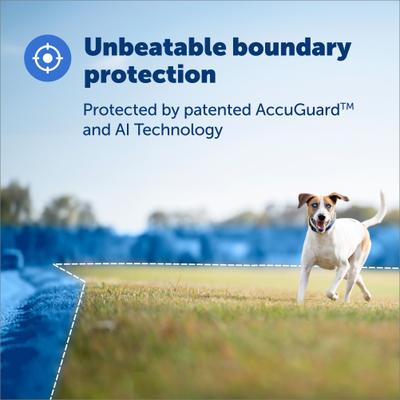 Show full view: PetSafe Guardian GPS + Tracking Wireless Fence Dog Collar, Grey/Blue slide 2 of 10