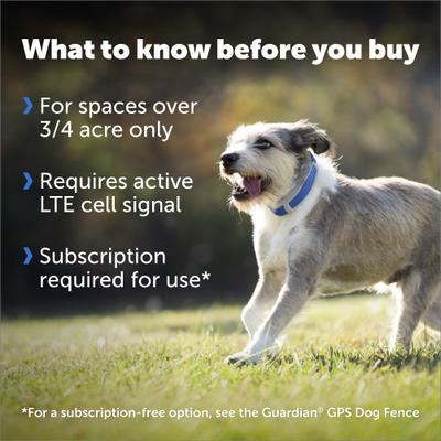 Show full view: PetSafe Guardian GPS + Tracking Wireless Fence Dog Collar, Grey/Blue slide 3 of 10