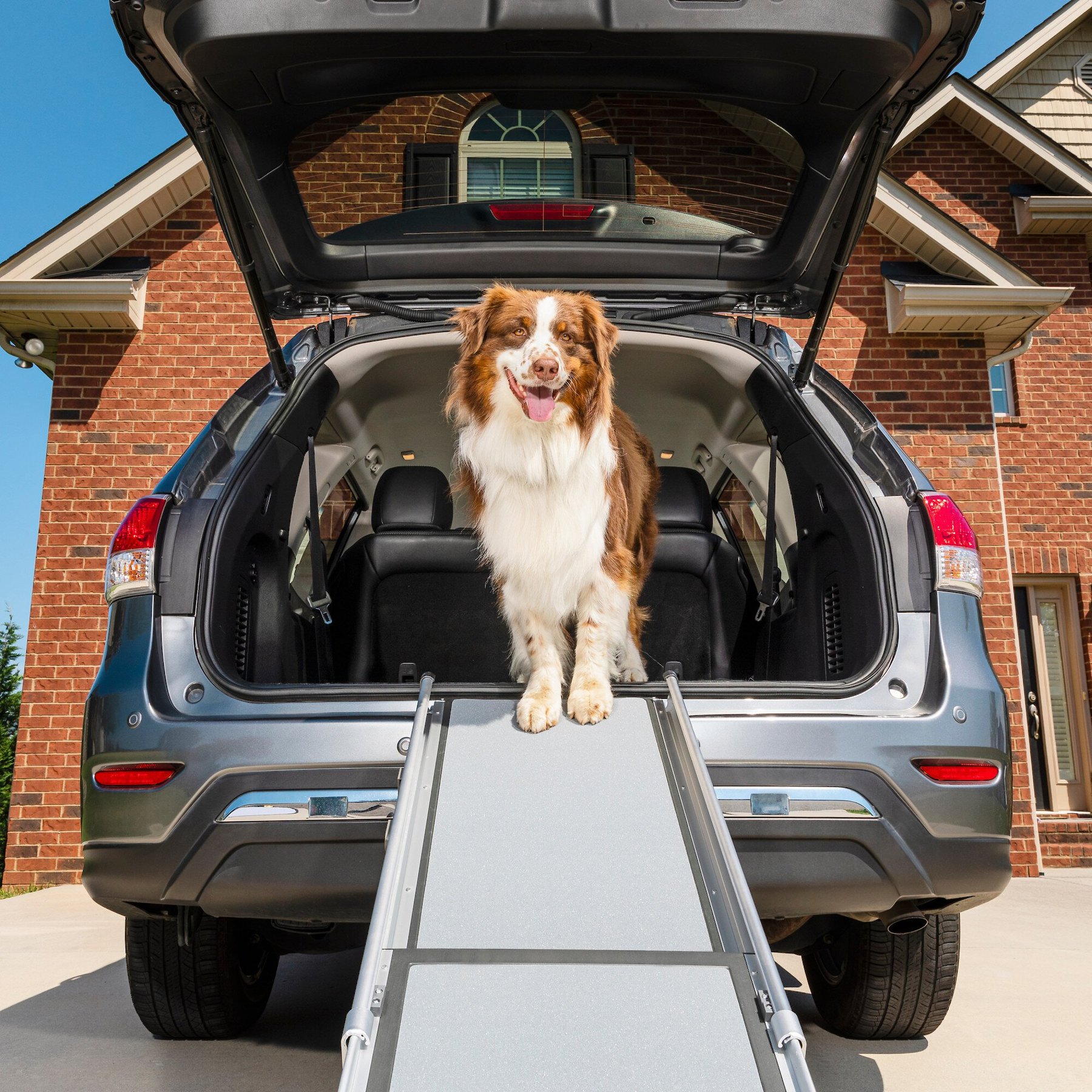 Solvit Deluxe Telescoping Dog Ramp