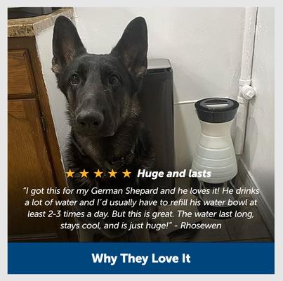 Show full view: PetSafe Healthy Gravity Refill Dog & Cat Waterer, 128-oz slide 6 of 12