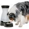 Show in main carousel: PetSafe Healthy Gravity Refill Dog & Cat Waterer, 320-oz slide 1 of 12