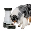 PetSafe Healthy Gravity Refill Dog & Cat Waterer, 320-oz