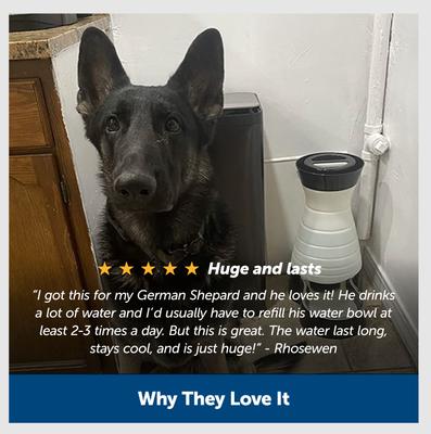 Show full view: PetSafe Healthy Gravity Refill Dog & Cat Waterer, 64-oz slide 6 of 12