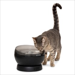 PetSafe HydroSphere Cordless Dog & Cat Fountain, 60-oz, Black