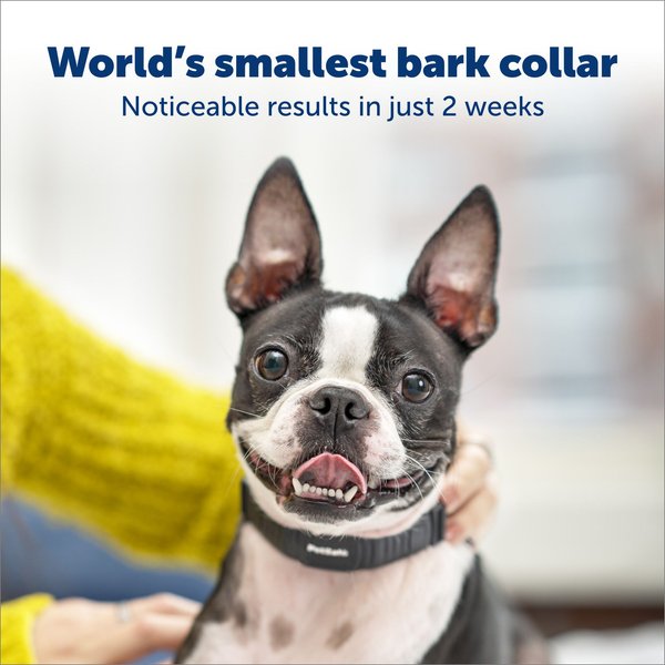 Show full view: Petsafe NanoBark Collar by PetSafe Rechargeable Dog Bark Collar, Black slide 4 of 8