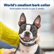 Show in main carousel: Petsafe NanoBark Collar by PetSafe Rechargeable Dog Bark Collar, Black slide 4 of 8