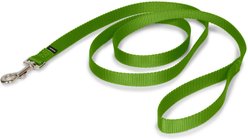 PetSafe Nylon Dog Leash, Apple Green, 6-ft long, 3/4-in wide slide 1 of 6