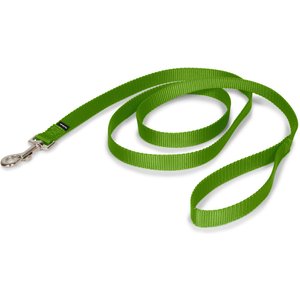 PetSafe Nylon Dog Leash, Apple Green, 6-ft long, 3/4-in wide