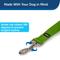 Show in main carousel: PetSafe Nylon Dog Leash, Apple Green, 6-ft long, 3/4-in wide slide 2 of 8