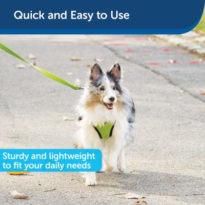 Show full view: PetSafe Nylon Dog Leash, Apple Green, 6-ft long, 3/4-in wide slide 3 of 8