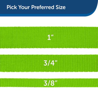 Show full view: PetSafe Nylon Dog Leash, Apple Green, 6-ft long, 3/4-in wide slide 5 of 8