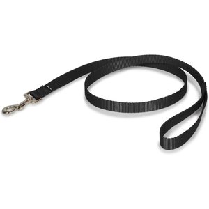 PetSafe Nylon Dog Leash, Black, 4-ft long, 3/4-in wide