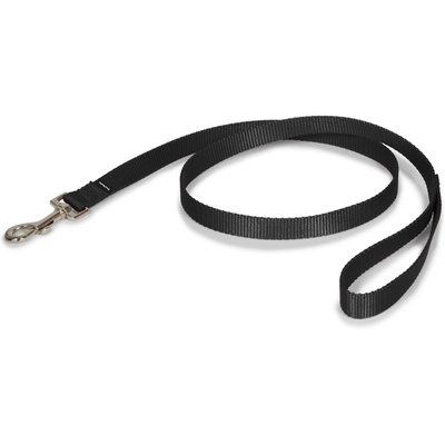 PetSafe PetSafe Nylon Dog Leash, Black, 4-ft long, 3/4-in wide
