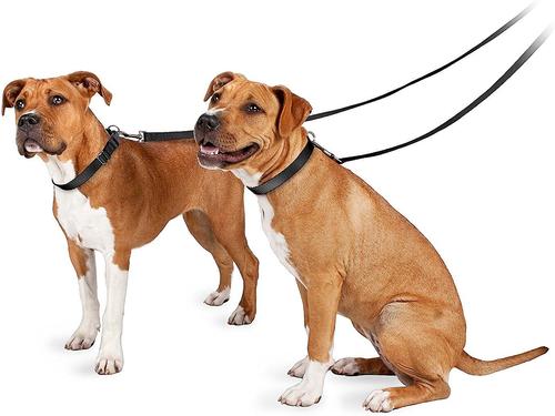 Show full view: PetSafe Nylon Dog Leash, Black, 4-ft long, 3/4-in wide slide 8 of 10