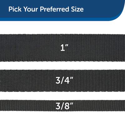 Show full view: PetSafe Nylon Dog Leash, Black, 6-ft, 3/8-in slide 5 of 8