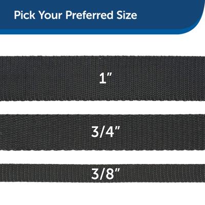 Show full view: PetSafe Nylon Dog Leash, Black, 6-ft long, 3/4-in wide slide 4 of 7