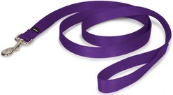 PetSafe Nylon Dog Leash, Purple, 6-ft long, 1-in wide