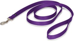 PetSafe Nylon Dog Leash, Purple, 6-ft long, 3/4-in wide