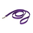 PetSafe Nylon Dog Leash, Purple, 6-ft long, 3/4-in wide
