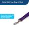 Show in main carousel: PetSafe Nylon Dog Leash, Purple, 6-ft long, 3/4-in wide slide 2 of 9