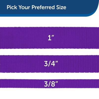 Show full view: PetSafe Nylon Dog Leash, Purple, 6-ft long, 3/4-in wide slide 5 of 9