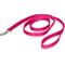 Show in main carousel: PetSafe Nylon Dog Leash, Raspberry, 6-ft long, 3/4-in wide slide 1 of 9