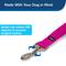 Show in main carousel: PetSafe Nylon Dog Leash, Raspberry, 6-ft long, 3/4-in wide slide 2 of 9