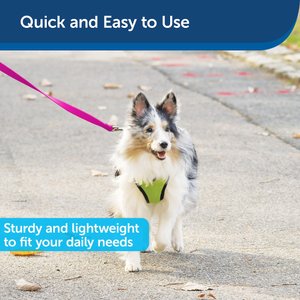 PetSafe Nylon Dog Leash, Raspberry, 6-ft long, 3/4-in wide