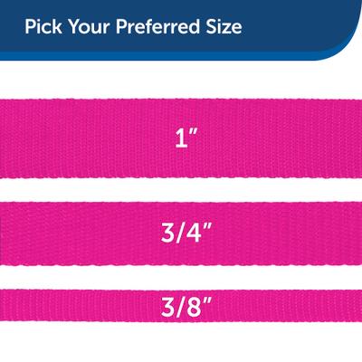 Show full view: PetSafe Nylon Dog Leash, Raspberry, 6-ft long, 3/4-in wide slide 5 of 9