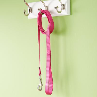 Show full view: PetSafe Nylon Dog Leash, Raspberry, 6-ft long, 3/4-in wide slide 7 of 9