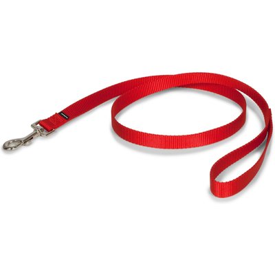 PetSafe PetSafe Nylon Dog Leash, Red, 4-ft long, 3/4-in wide