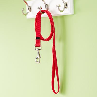 Show full view: PetSafe Nylon Dog Leash, Red, 4-ft long, 3/4-in wide slide 9 of 11