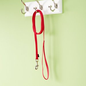 PetSafe Nylon Dog Leash, Red, 6-ft, 3/8-in
