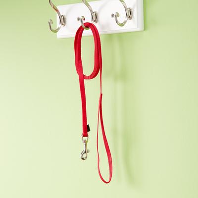 Show full view: PetSafe Nylon Dog Leash, Red, 6-ft, 3/8-in slide 8 of 10